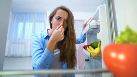    Холодильник помыли, но запах остался: 3 эффективных метода помогут забыть о проблеме Ксения Пудовкина