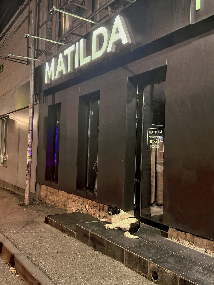 Когда ты обычная Жучка, а мечтаешь быть Матильдой!