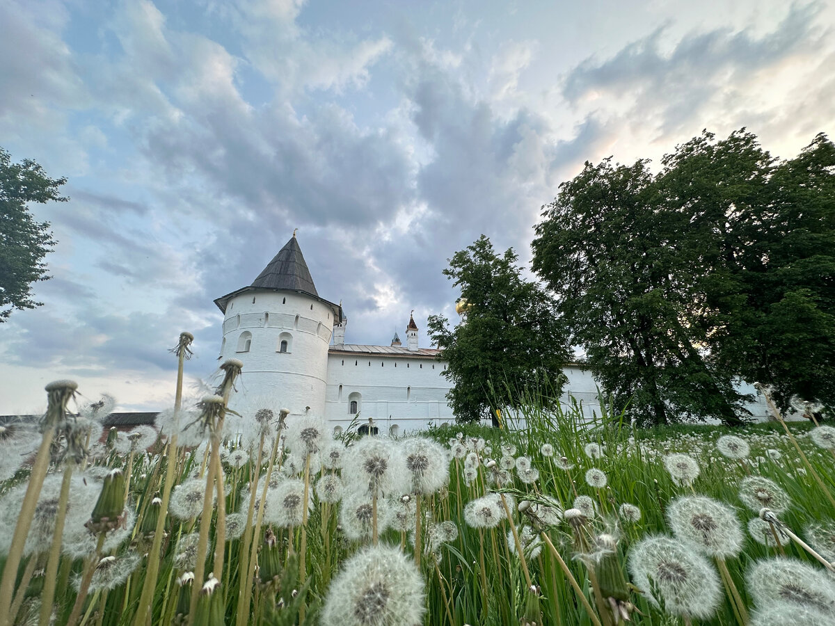 Ростовский Кремль с улицы