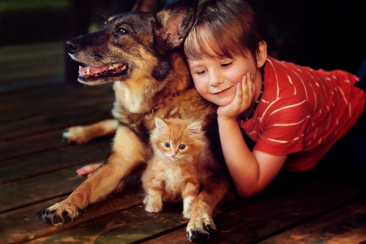 Выбираем домашнего питомца. Домашние животные для детей. Дети с животными. Обнимает собаку. Собака для детей.