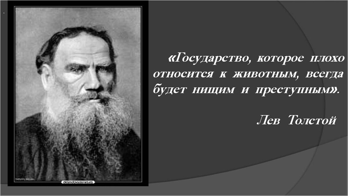 Самые известные и читаемые русские писатели в мире. | КультурМультур и ...