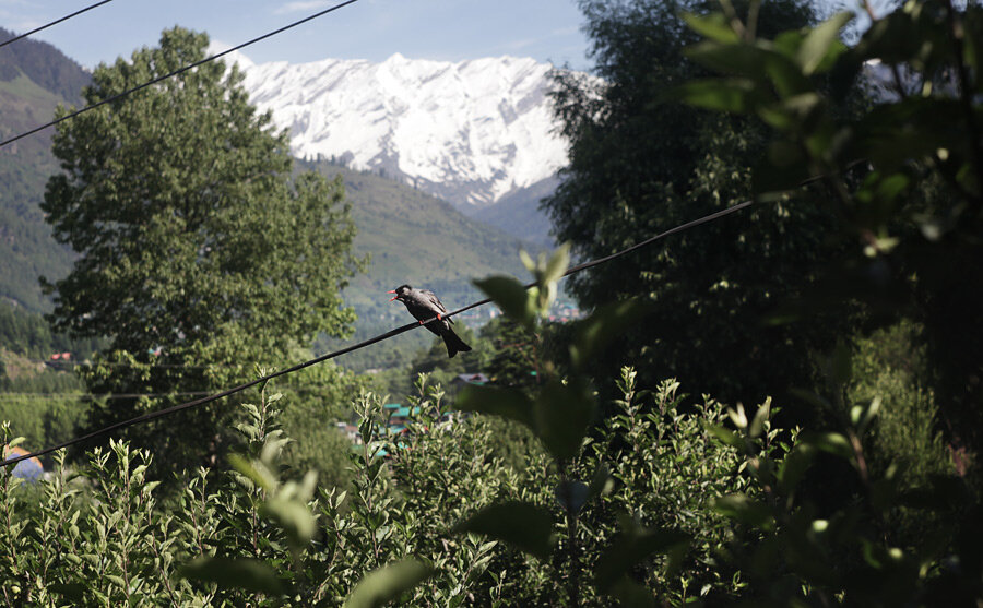 Вид с нашего балкона.