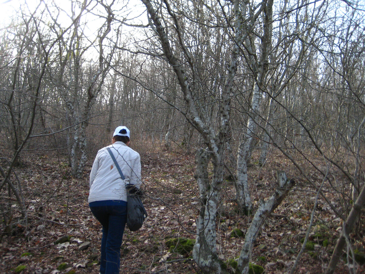 лесок недалеко от анапы)) 