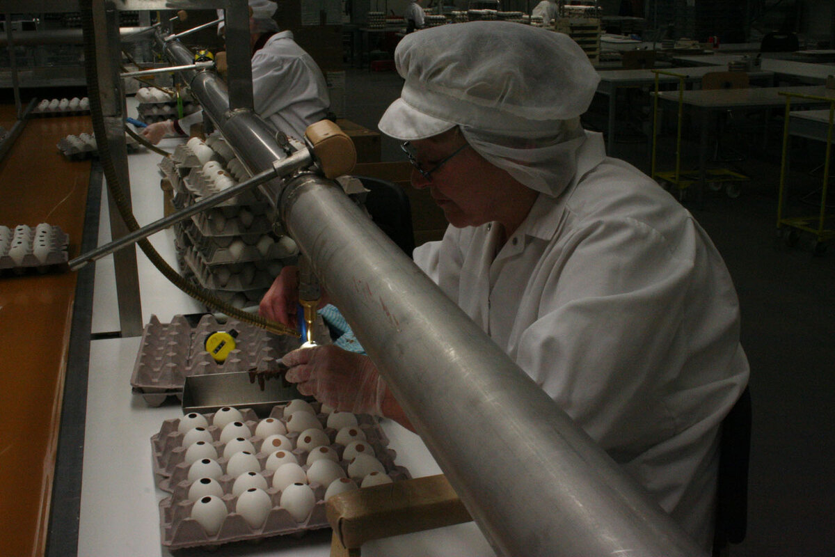 Яйца наполняют шоколадом