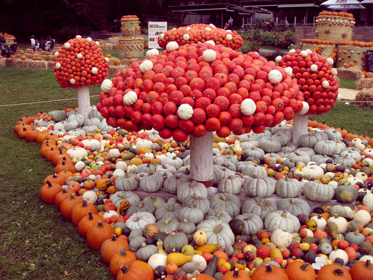 Фото с сайта http://s017.radikal.ru