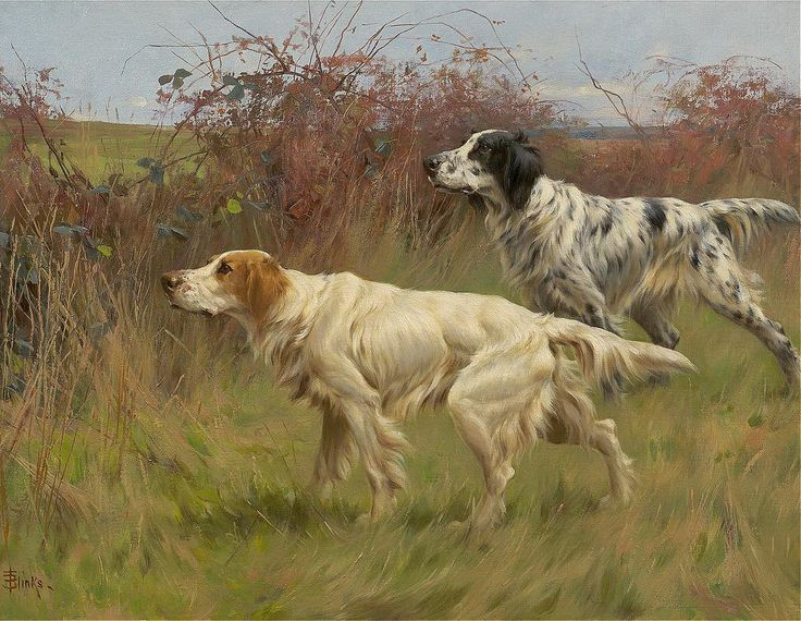   Томас Блинк-"Стойка"-английские сеттера.