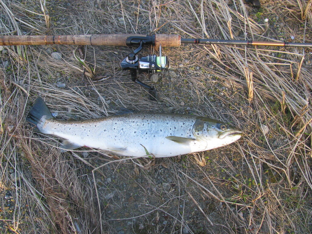 Спиннинговая снасть