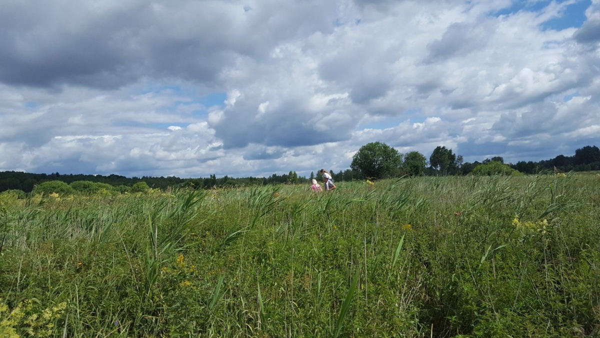 наша целина