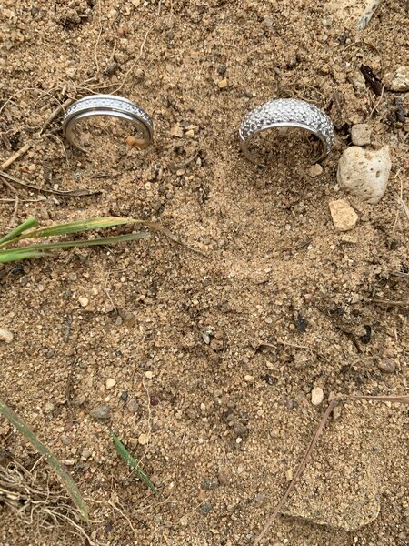 Какие кольца можно найти на пляже с металлоискателем: 