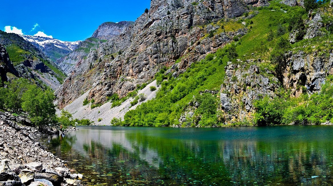 Фото из интернета.