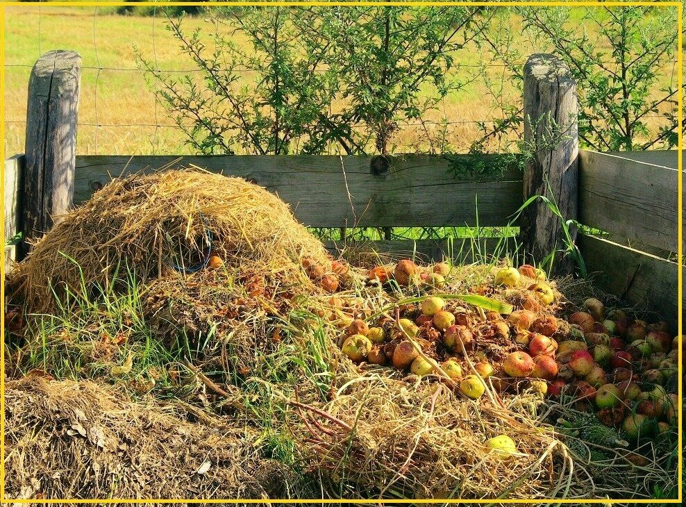 Сад, огород, урожай, компост, дачник, огородник, садовод