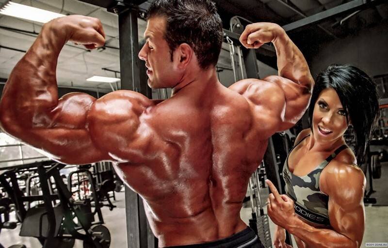 силовые тренировки