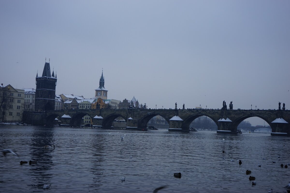 Прага, Карлов мост