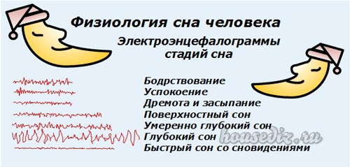 Физиология сна