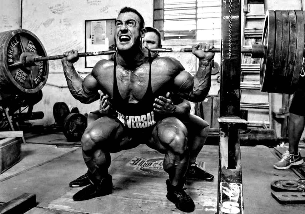 https://www.iron-health.ru/wp-content/uploads/2015/06/AntoineVaillant-MD-Jun2013-PerBernal-535.jpg