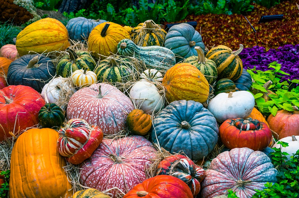 https://pixabay.com/photos/pumpkin-vegetables-autumn-orange-2190584/   