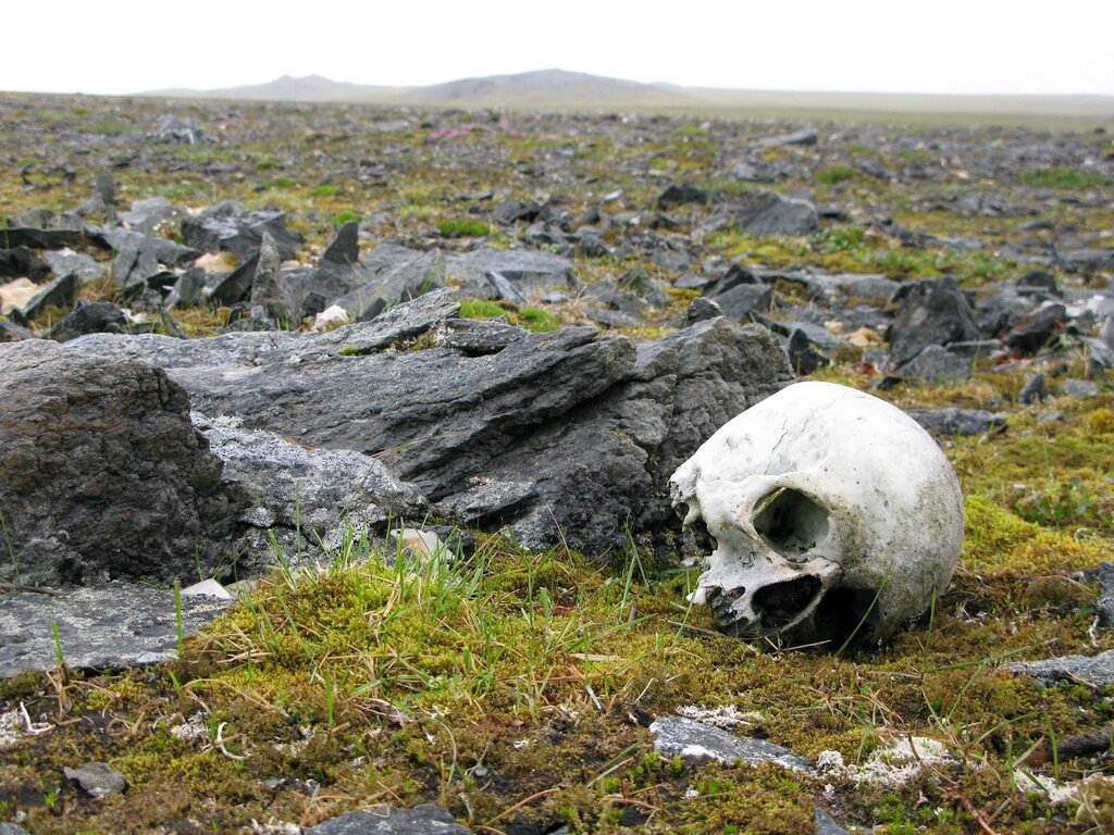 архипелаг новая земля полигон. сухой нос полигон. новая земля полигон ядерных испытаний на карте. сухой нос остров новая земля. северный полигон новая земля.