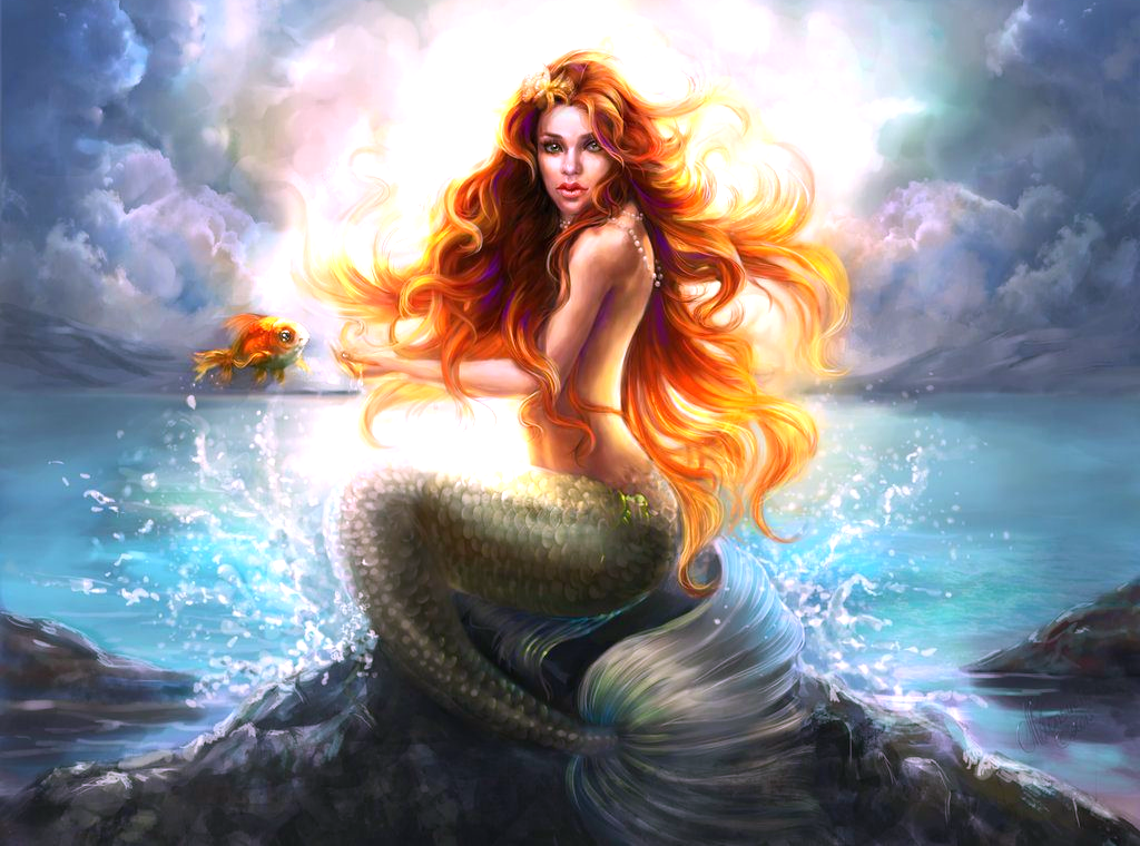 Фото взято из открытого источника