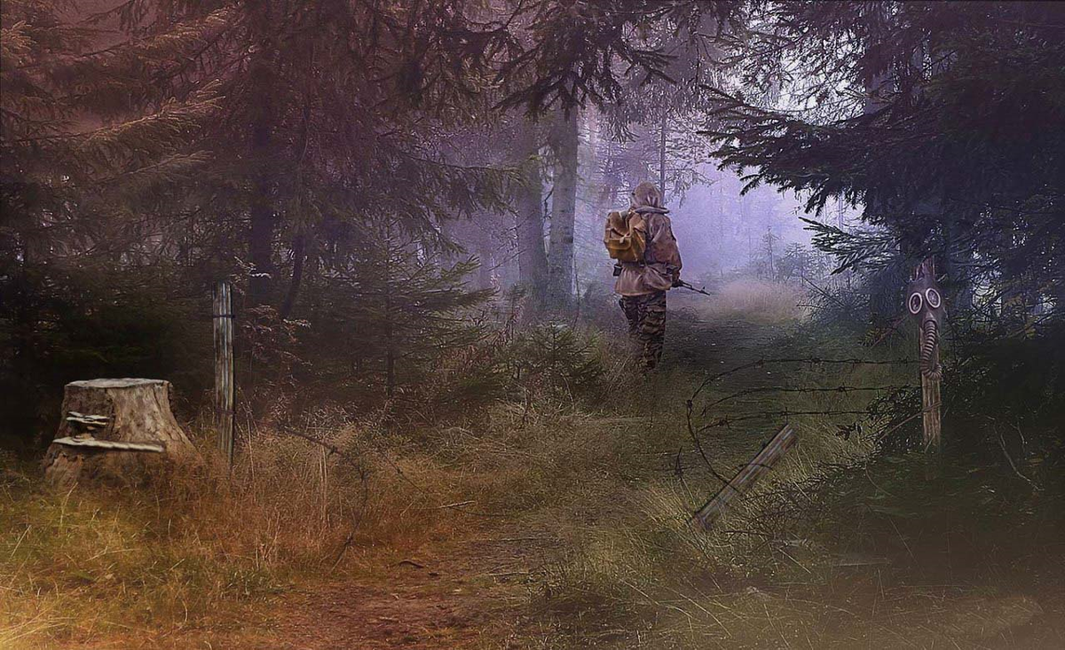 Проход в Зону