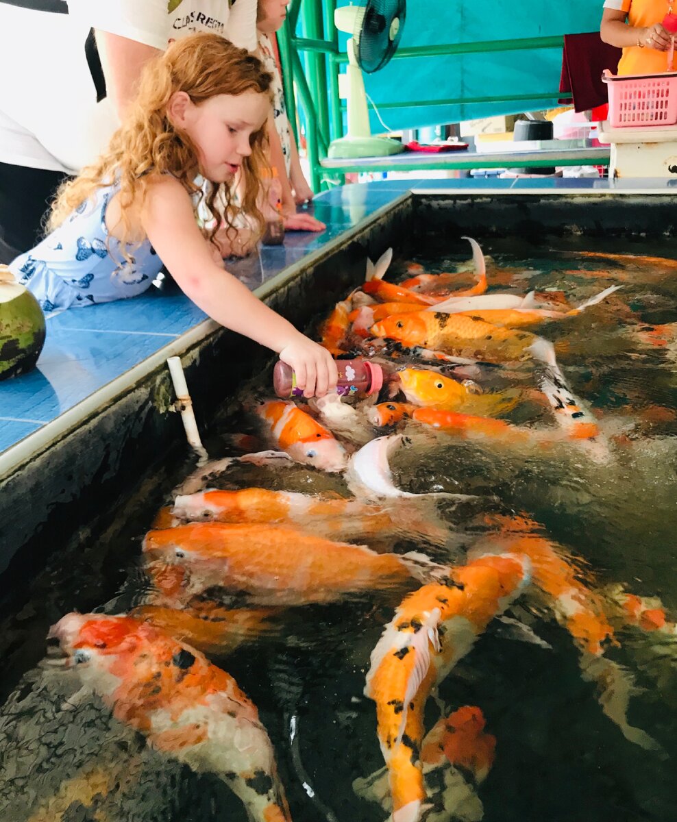 Выбирайте другие места посещения с детьми 