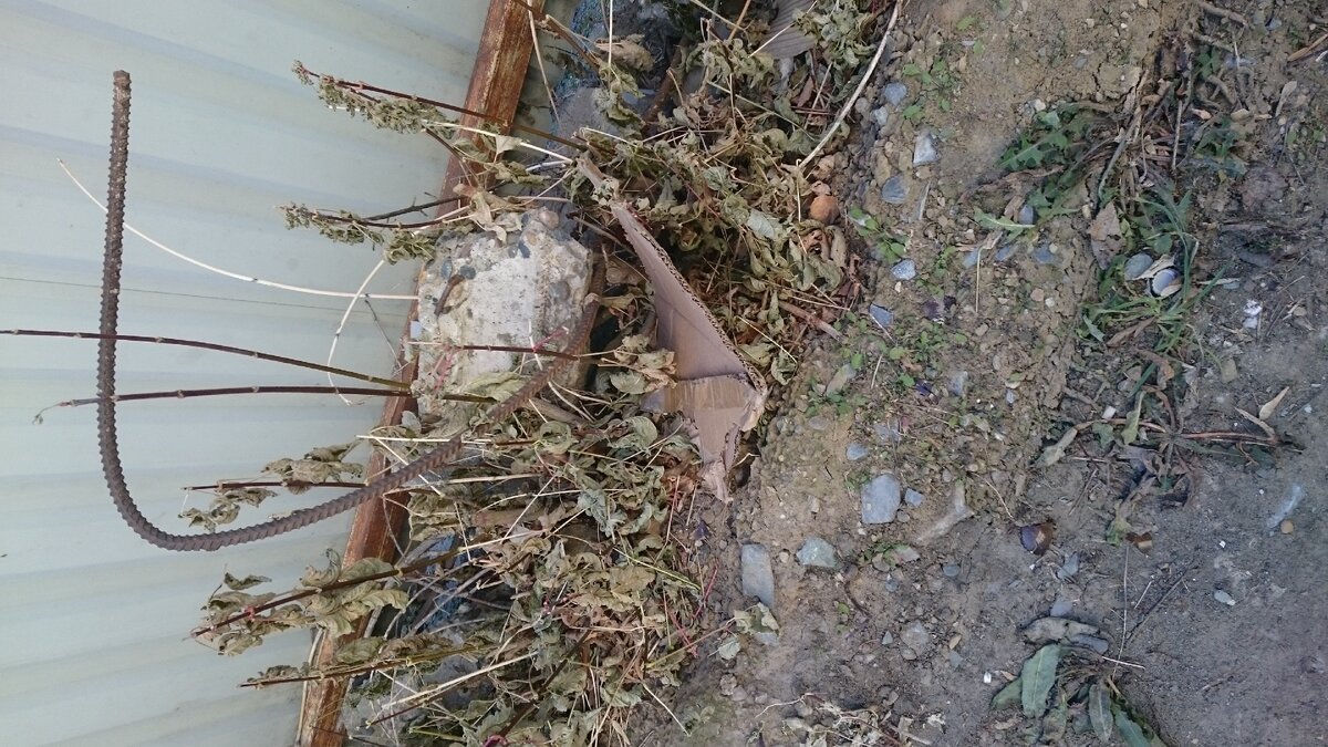 арматура изогнута по форме, и выходит из бетонного камня.