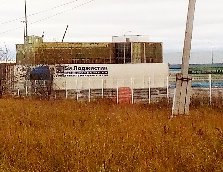 Разнообразненько и безобразненько. Фото автора.