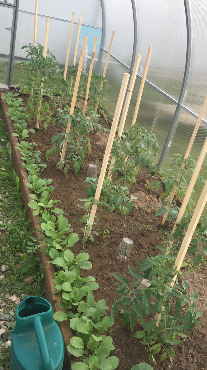 Первый блин)