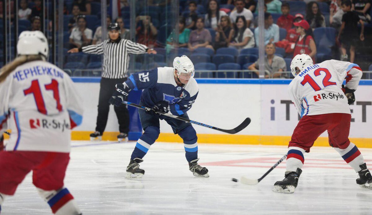 В стране имеется — 4 ледовых катка и 369 профессиональных игроков.