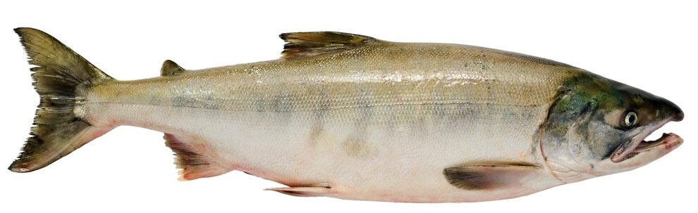 фото из яндекса