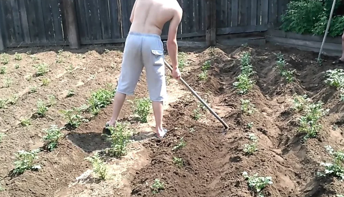                                                            источник сайт яндекс.картинки