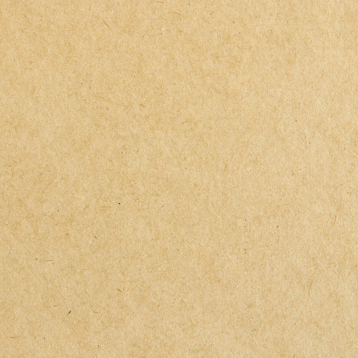 изображение: Freepik.com