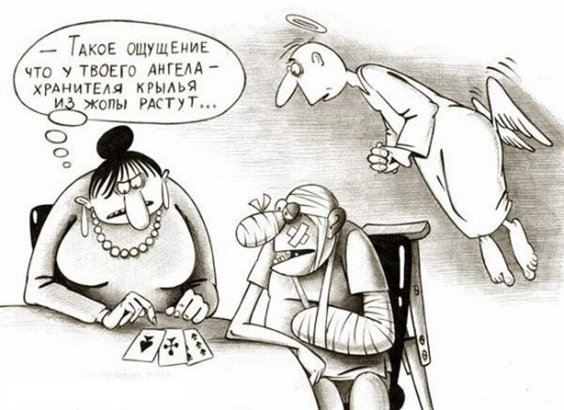 Фото:  https://golibus.livejournal.com/171064.html