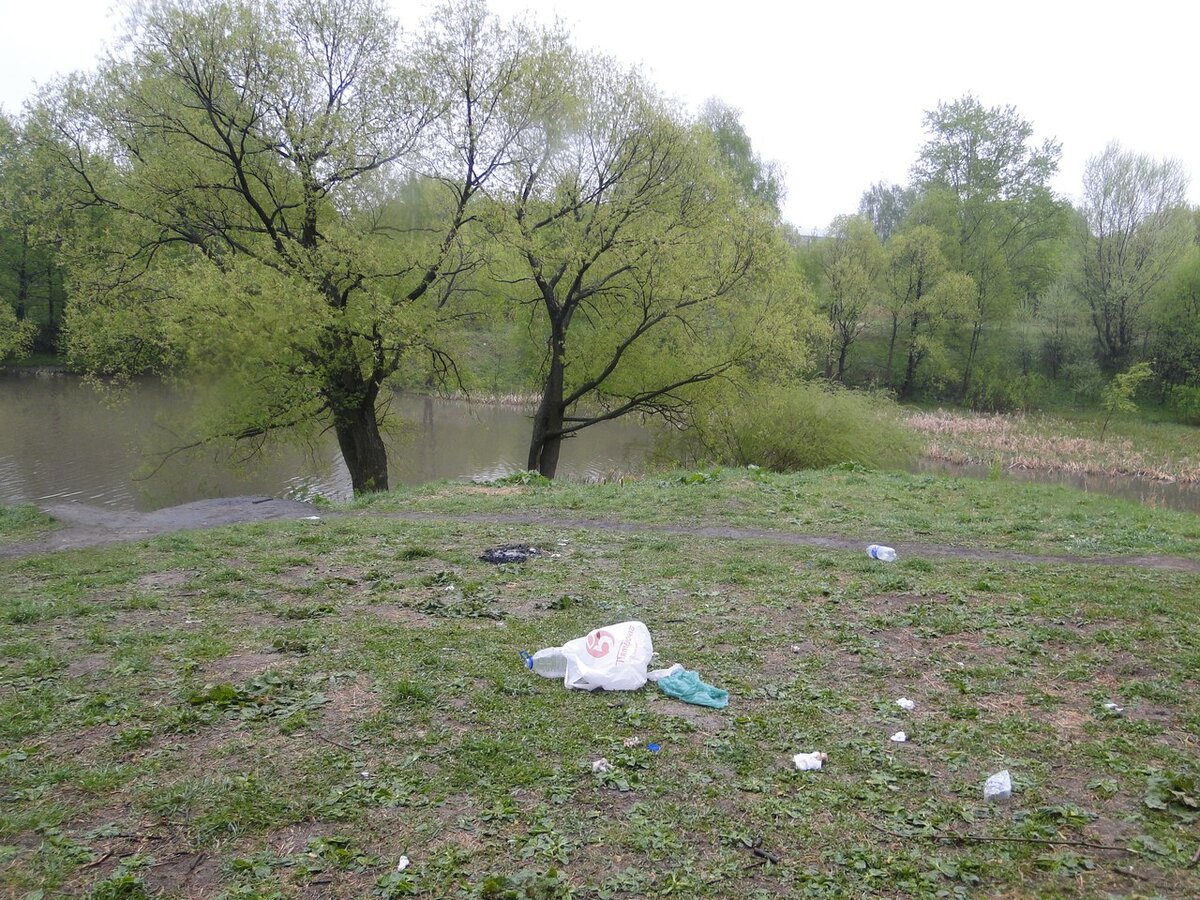 Изображение из открытого источника