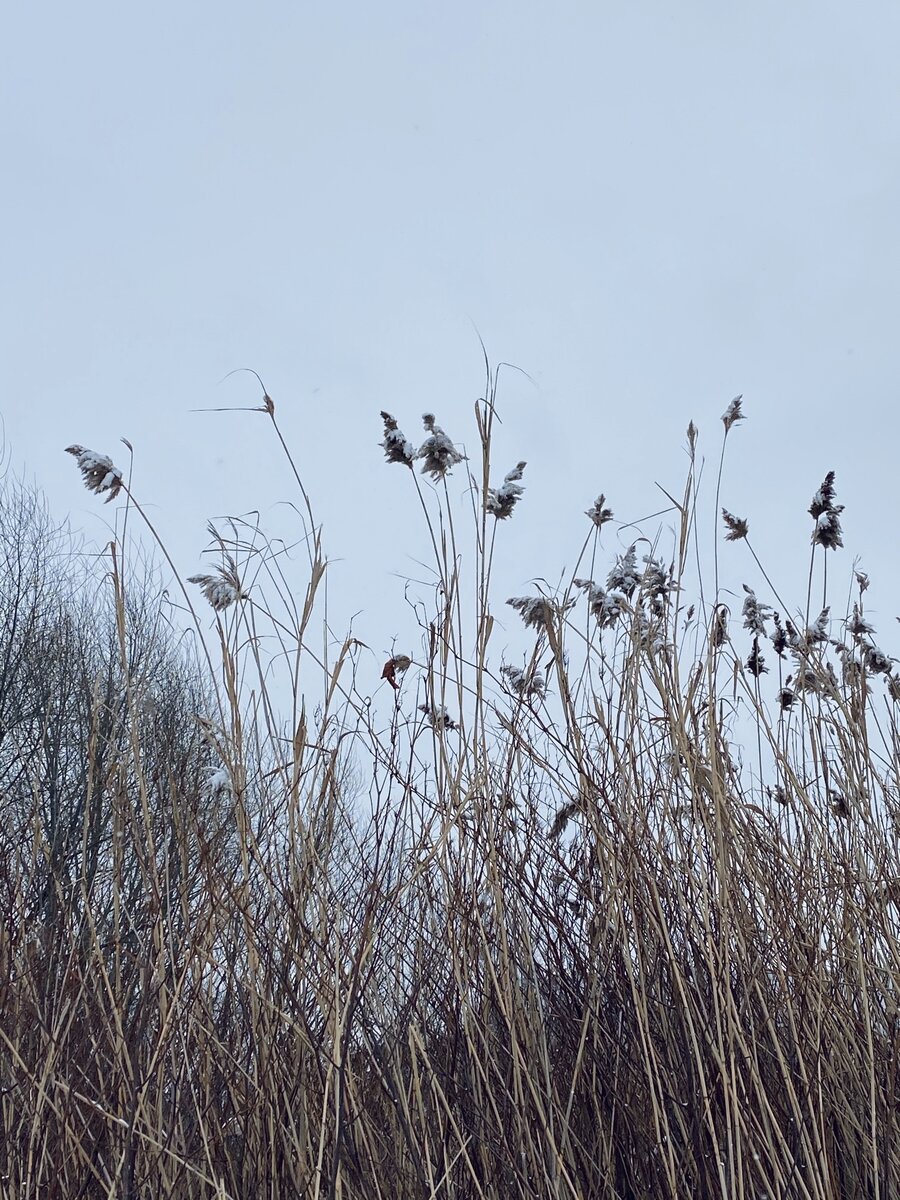 После каждой зимы неизбежно наступление лета. Всё циклично.