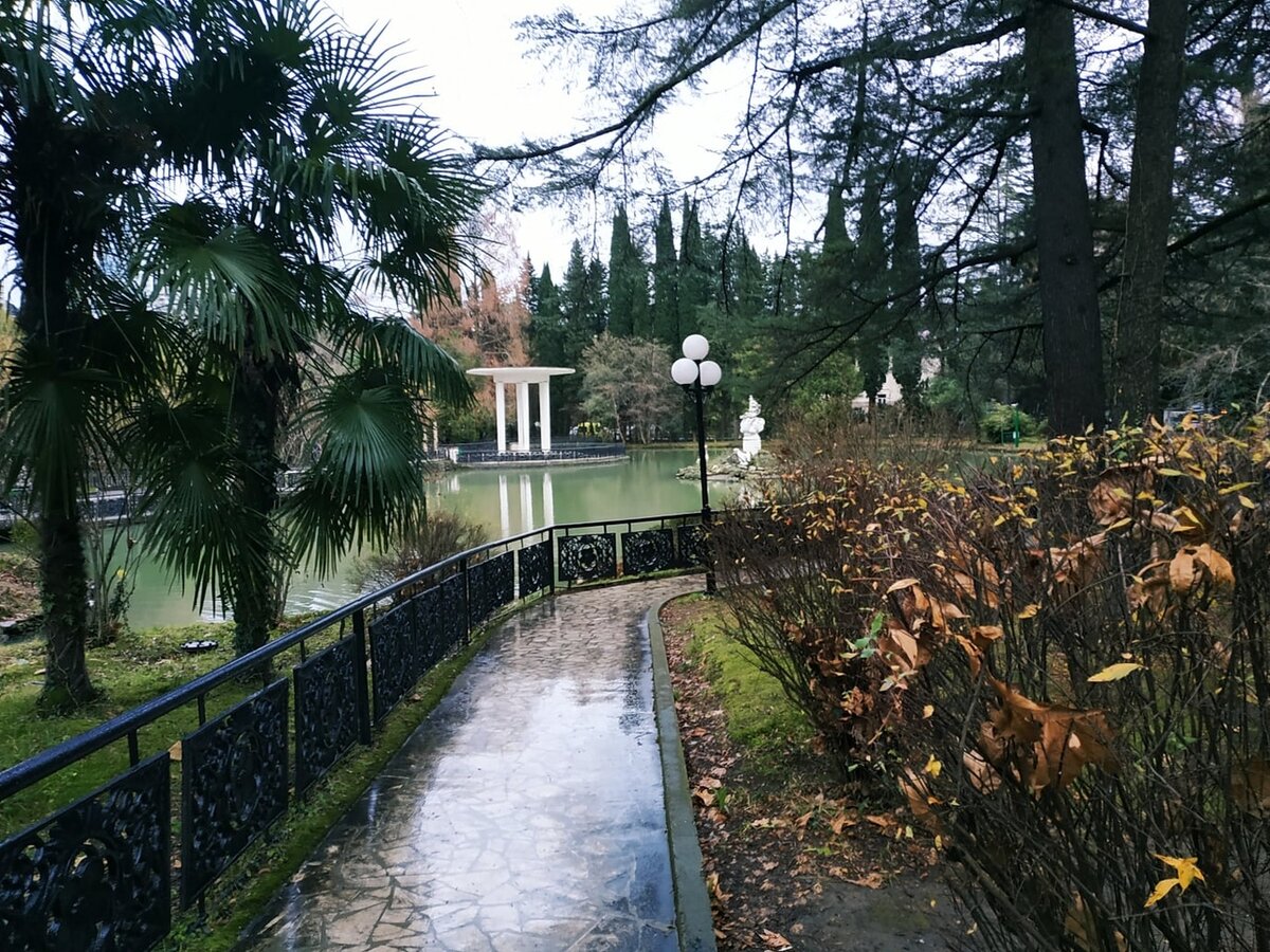 Фото дендропарк в сочи