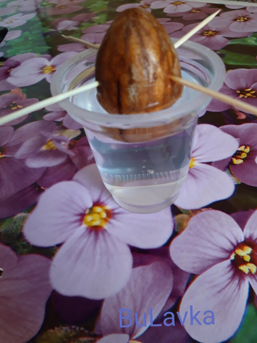 Фото из личного архива 
