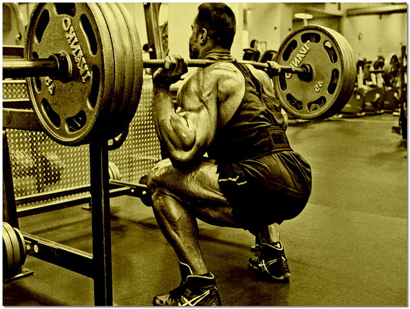 Источник фото: https://mport.ua