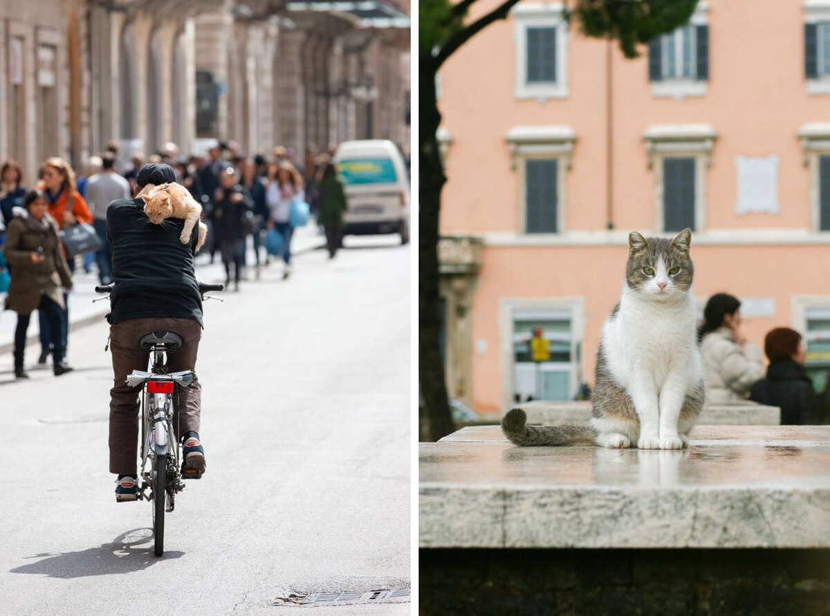 Фотография слева © Vlad Antonov / Shutterstock 
