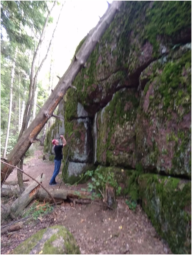 Парк Монрепо. Фото Н. Беспаловой