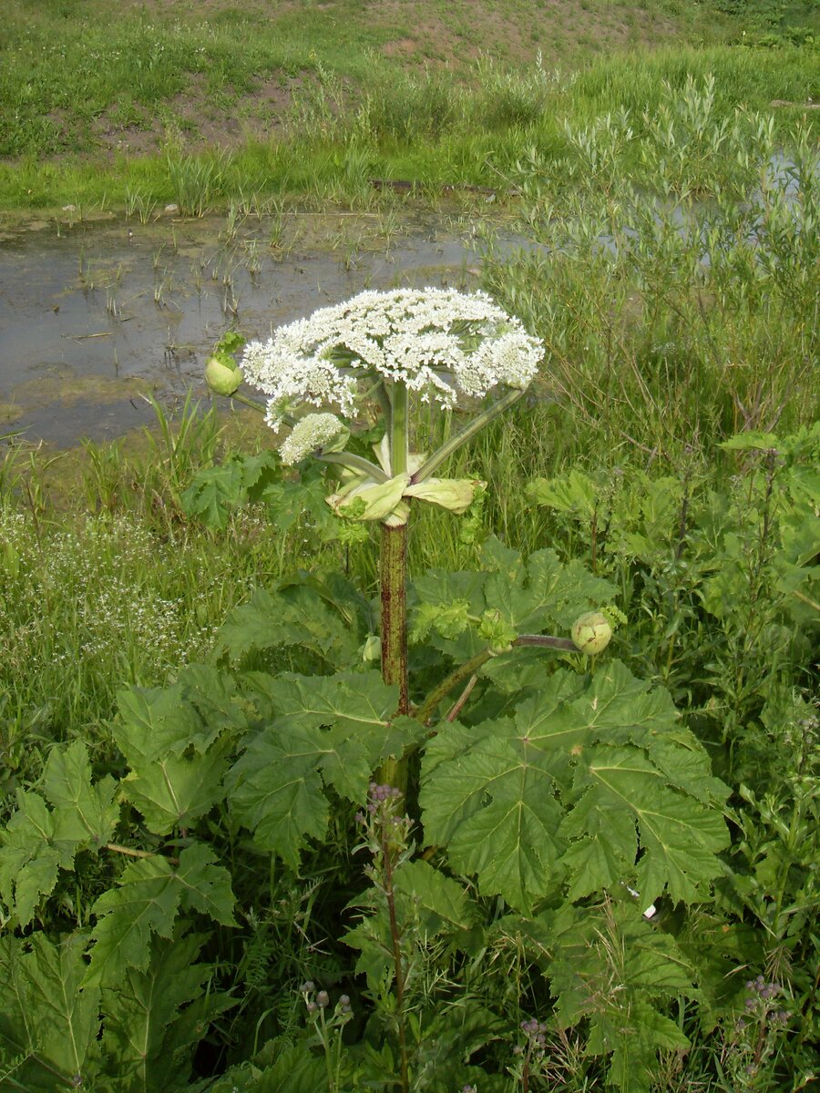 из личного архива