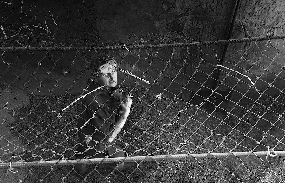 Фотография Андрей Смольников (Битва за урожай)