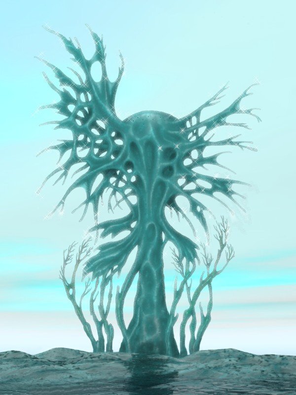 Асимметриада ( Доминик Синьоре)