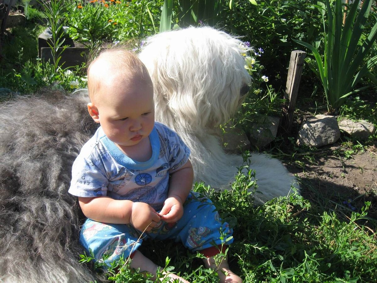 Детка и Вайта.