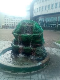 Наша жизнь наполняется любовью бесконечно. Фото автора