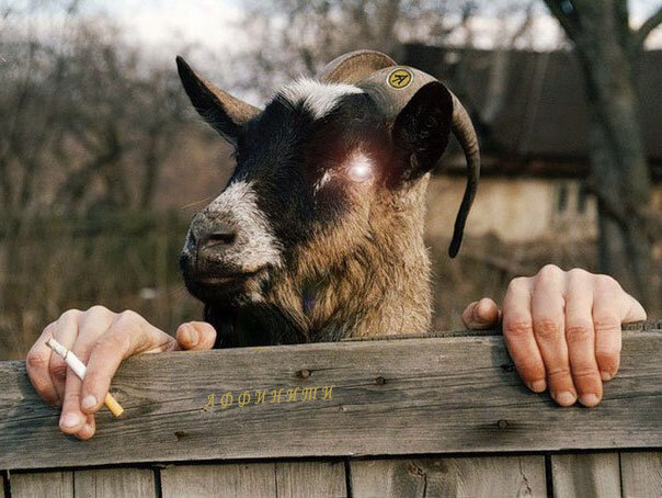 Я задыхаюсь от нежности...