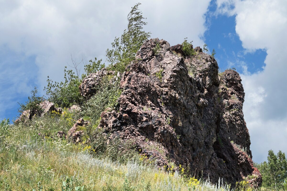 Горельник на южном склоне "Ленинской".