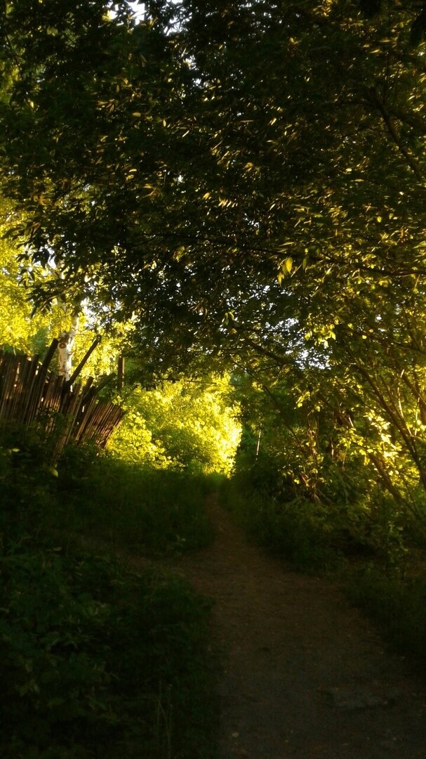 Знаменитая гора летом (фото автора)