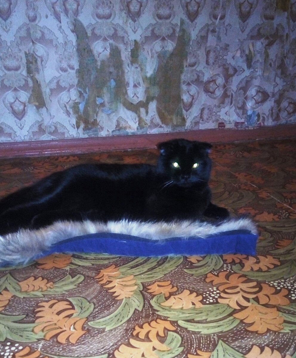Благодарю за фото Марину Аброчнову)