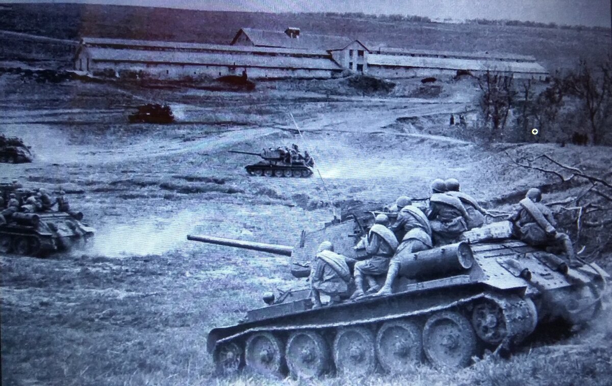 Фото взято из свободных источников