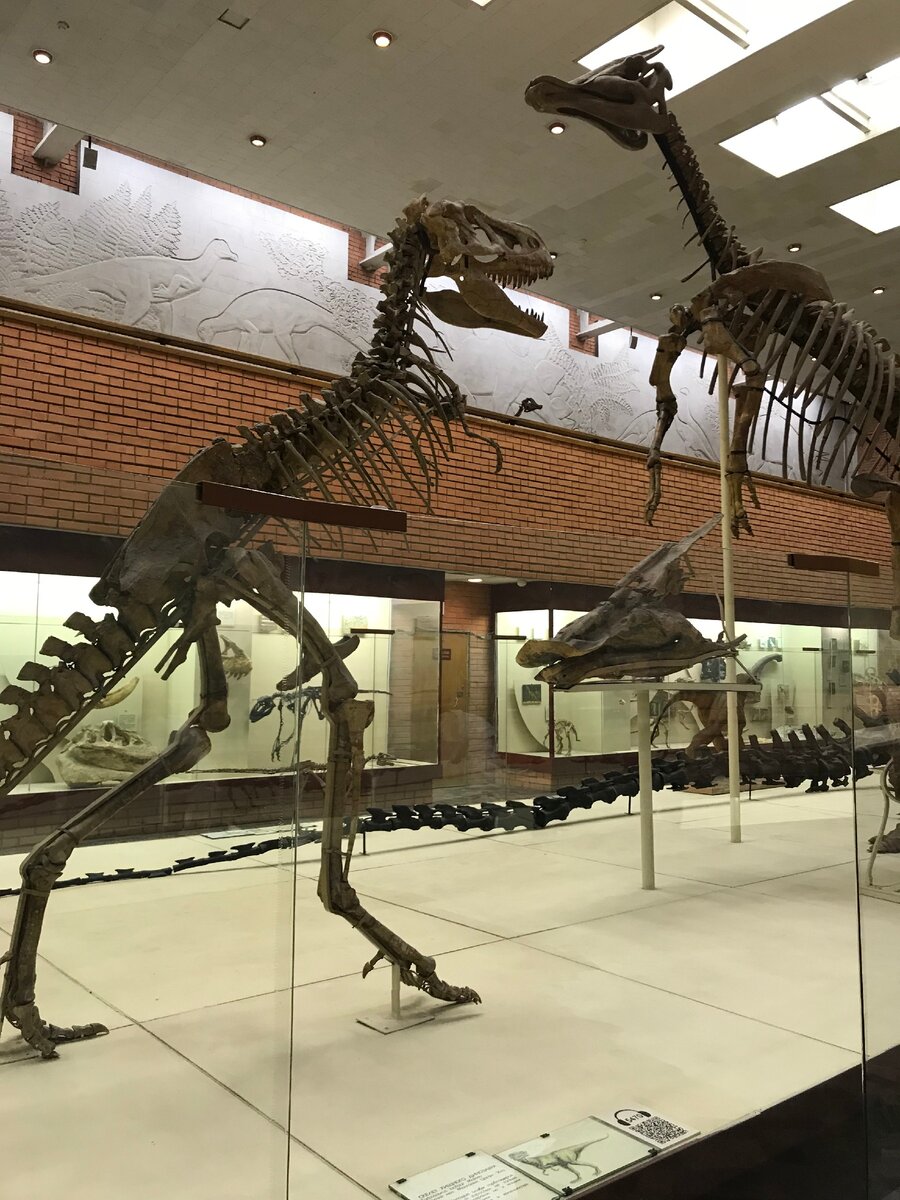 палеонтологический музей в москве официальный